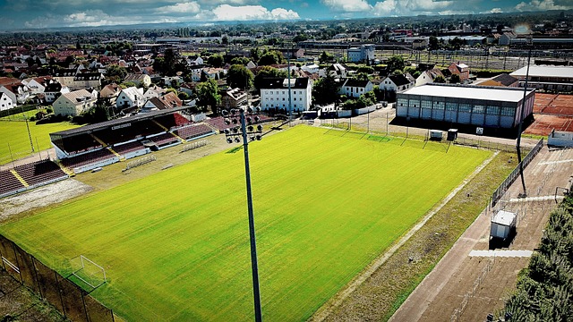 热议海港输球：古斯塔沃停赛影响大；亚冠已是舆论负担